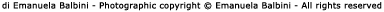 Copyrights